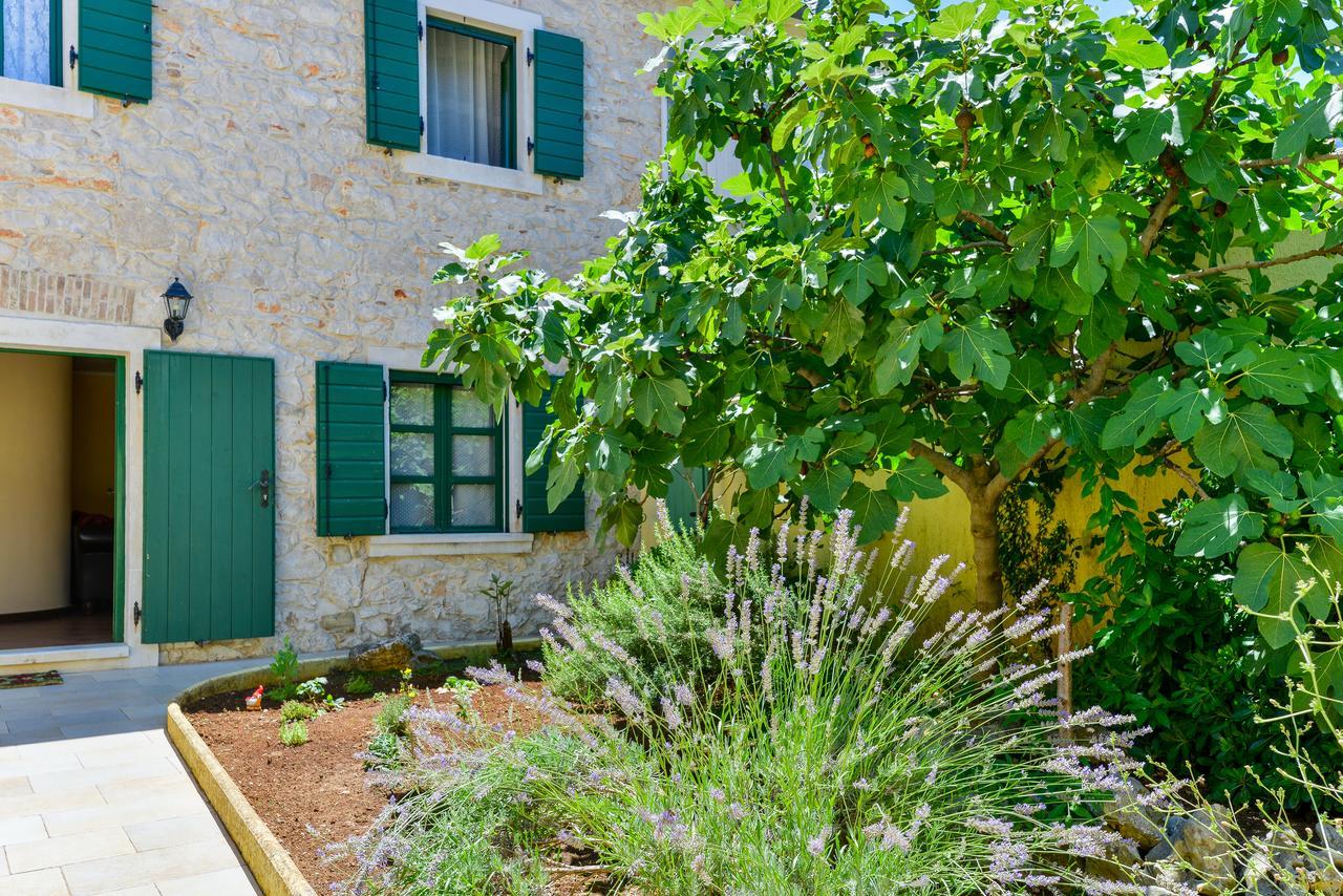 زادار Villa Borgo Erizzo المظهر الخارجي الصورة